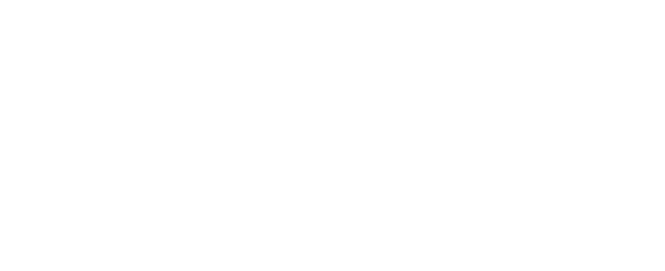 NorskeAutomaterc.com logo hvit